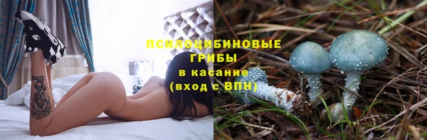 герыч Липки
